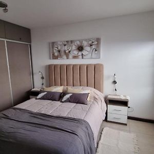 Peumayen Departamento En San Martin De Los Andes